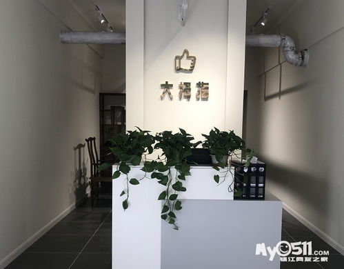 大拇指家政五店共惠 家政協(xié)會(huì)單位 吊燈家電清洗 各類保潔 客服微信17887276766